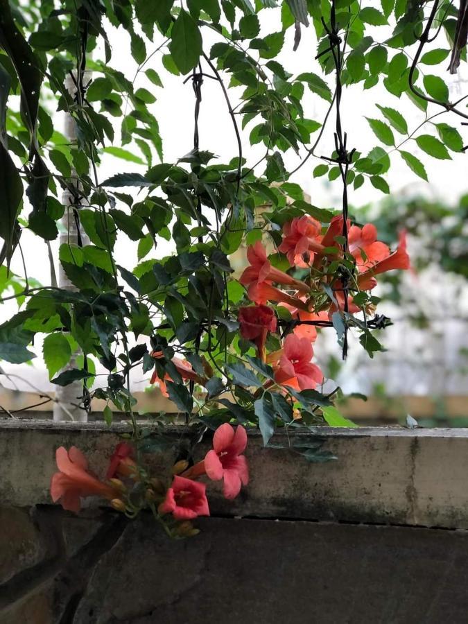 Hidden Hue Homestay 外观 照片