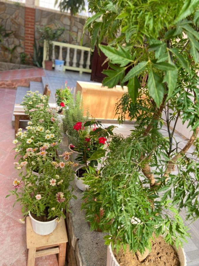 Hidden Hue Homestay 外观 照片