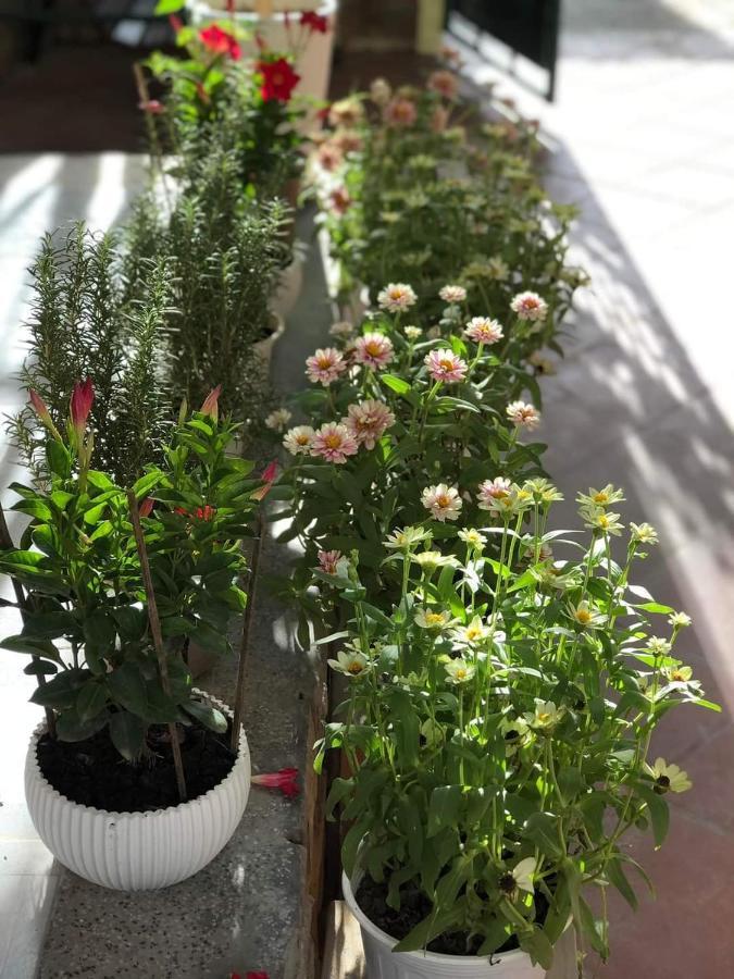 Hidden Hue Homestay 外观 照片