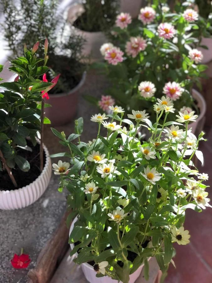Hidden Hue Homestay 外观 照片